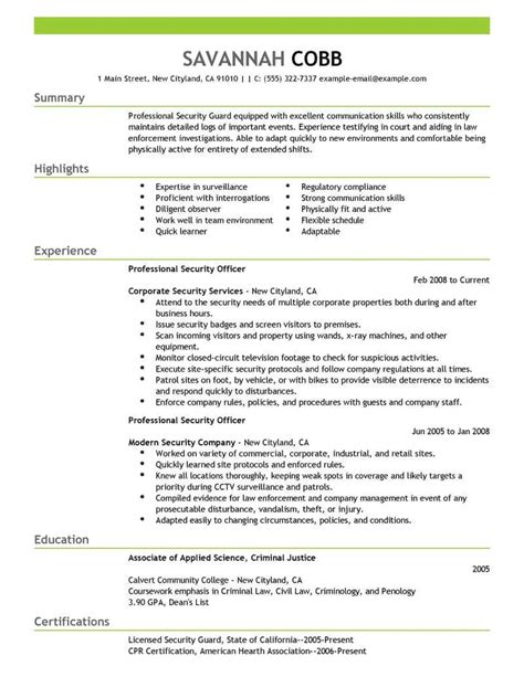 Professional Security Officer Resume Examples | Safety & Security ...