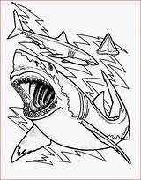 Coloring Pages Shark Free And Printable sketch template