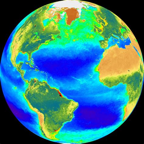 ciclos biogeoquimicos: biosfera