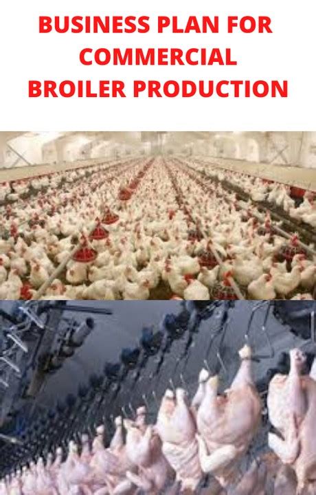 Business Plan For Commercial Broiler Production - Agriculture - Nigeria