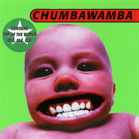 Tubthumping - song by Chumbawamba | Spotify