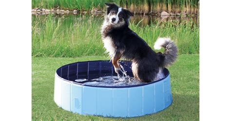 CHEWY - TRIXIE PORTABLE DOG SPLASH POOL - The Freebie Guy®