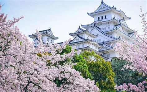 Ancient Himeji Castle gardens cherry blossoms, Japan wallpapers and ...