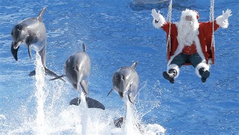 Photo: Santa sightings around the world | FOX31 Denver