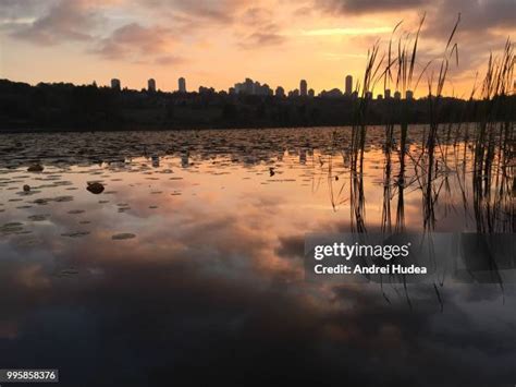 310 Burnaby Lake Stock Photos, High-Res Pictures, and Images - Getty Images