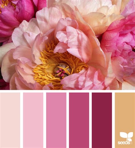 Floral Color Palette Inspiration | Sparkles and Shoes