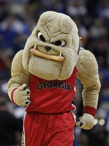 Georgia Bulldogs mascot Hairy Dawg at a UGA basketball game. | Georgia bulldog mascot, Bulldog ...