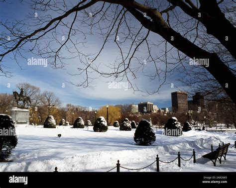 Boston Common in winter Stock Photo - Alamy