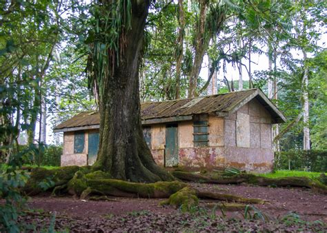 Aburi Botanical Gardens