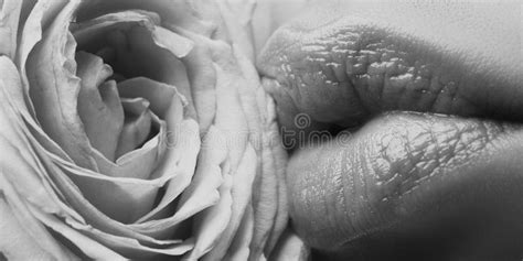Banner of Lips with Pink Lipstick Closeup. Beautiful Woman Lips with Rose. Stock Photo - Image ...