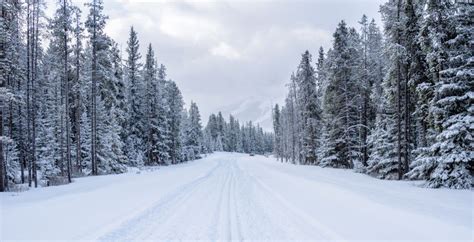 A fresh forecast for Alberta is out and winter is looking cancelled | News