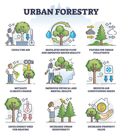 The Benefits of Trees | City of Takoma Park