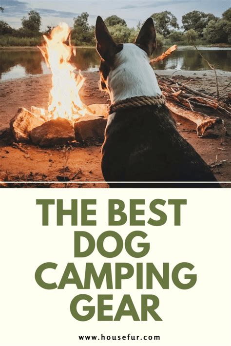 Dog Camping Gear - 6 Things Your Dog Will Thank You For