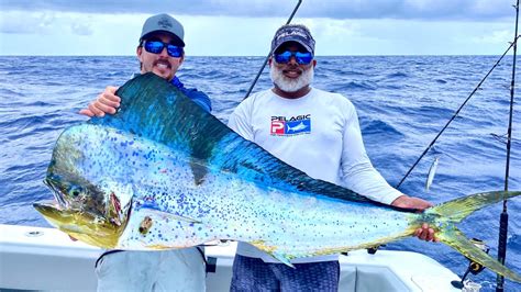 *GIANT* BLUE MAHI - Catch Clean and Cook - Fish Ceviche - YouTube