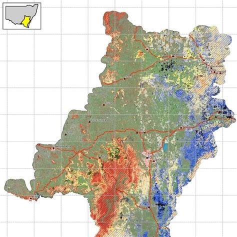 Koala mapping information | Koala Country