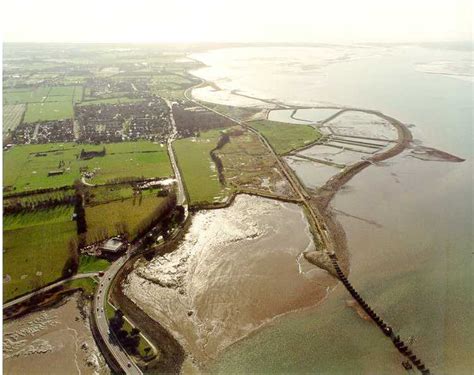 Oyster Beds | Hayling History | Hayling Island Site