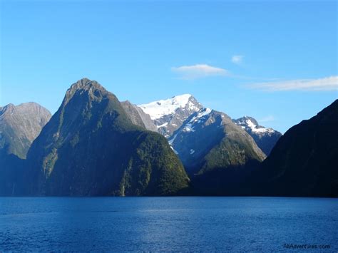 Milford Sound Wildlife - Ali's Adventures