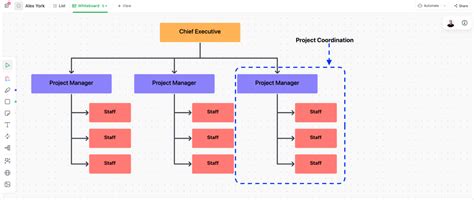 Project Management Organization Chart