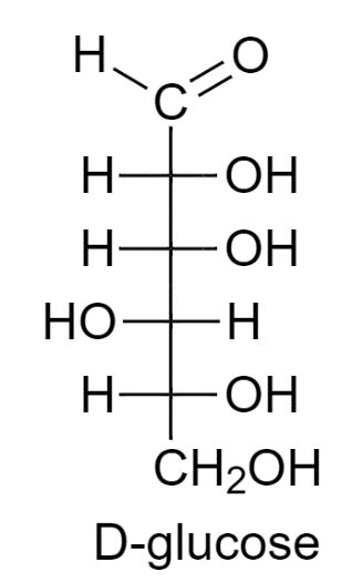 Aggregate more than 146 draw the structure of glucose latest - seven.edu.vn