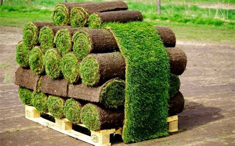 How Much Does a Pallet of Sod Cost? 2021 Cost Guide | Pallet of sod, Types of grass, Lawn ...