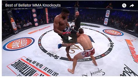 Best of Bellator MMA Knockouts