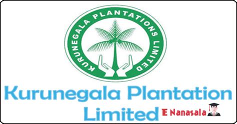 Kurunegala Plantation Limited - Accounts Officer, Management Assistant