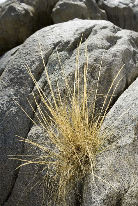 How to Landscape With Rocks on a Steep Slope