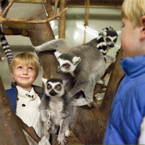 Shaldon Zoo Tickets, Products, Membership Plans, Gift Vouchers - Buy Online