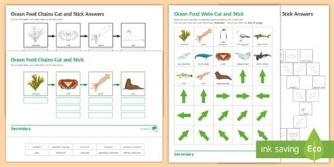 Create A Food Web Worksheet - Chart Sheet Gallery