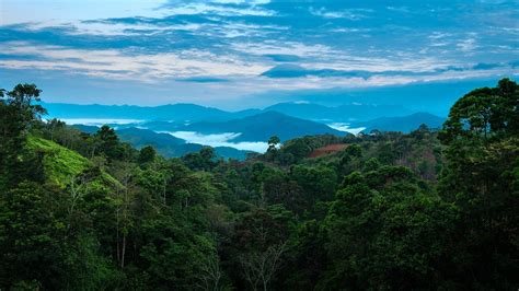 nature, landscape, mountains, forest, trees, river, reflection, mud ...