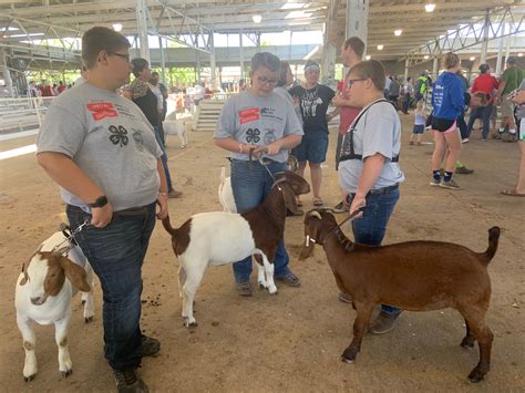 2020 Iowa State Fair 4-H & FFA Livestock results - Monte Journal