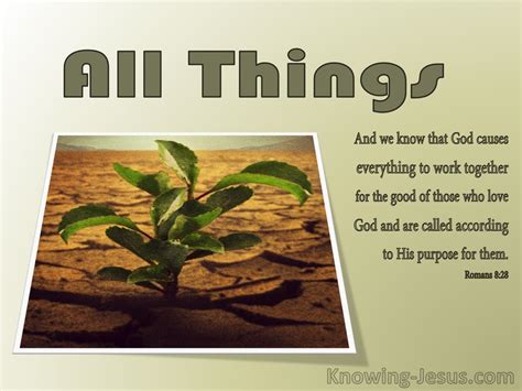 Romans 8:28 Mingled Seed Or Pure Seed (devotional)11-14 (sage)