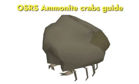 OSRS Ammonite Crabs Guide: XP Rates & Aggroing