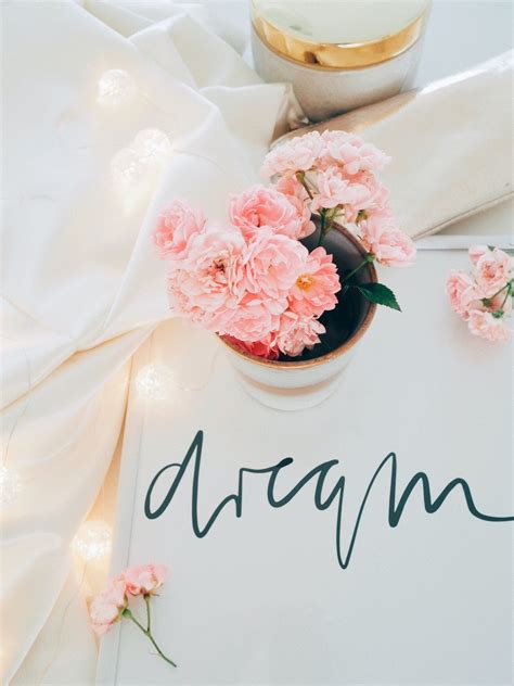 Ariel Instagram | 14 best free bloom, interiordesign, dream and romantic photos on Unsplash