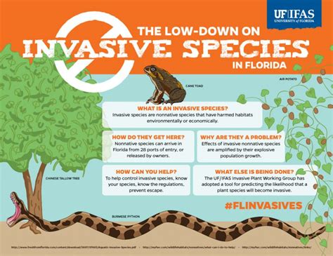 Invasive Species Awareness Visual Campaign - UF/IFAS Communications