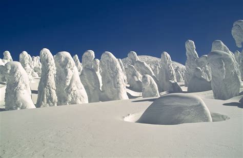 Juhyo: The Snow Monsters on Japan’s Mount Zao - The Atlantic