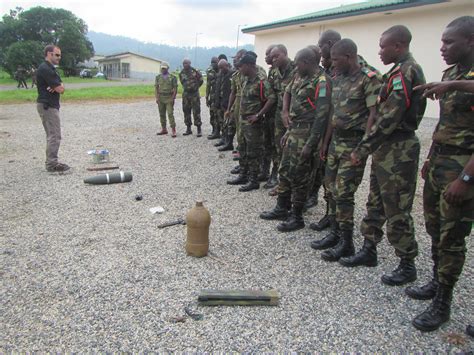 US troops conduct counter IED training in Cameroon | Article | The United States Army