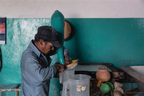 Pulque: The drink of the Gods - Hidden Corners