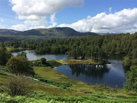 Tarn Hows, Lake District | Lake district, Lake, River