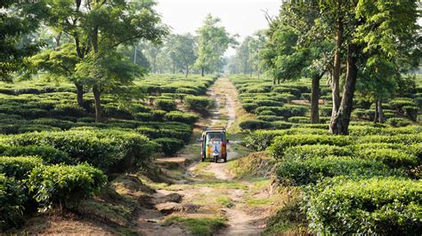 Rickshaw Run India - The Adventurists