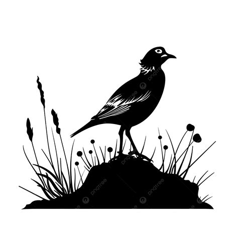 Quail Bird Hunting Silhouette Free, Quail, Bird, Silhouette PNG Transparent Image and Clipart ...