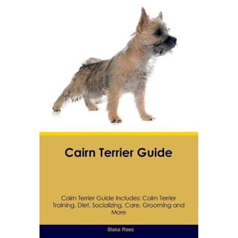 Cairn Terrier Guide Cairn Terrier Guide Includes : Cairn Terrier ...