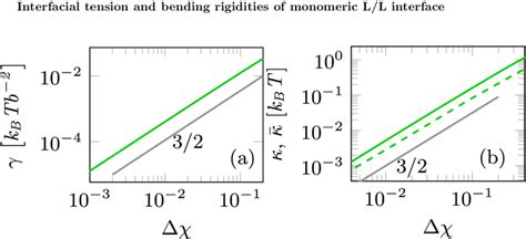 (a) Interfacial tension γ in units of [k B T b −2 ] as a function of ∆χ... | Download Scientific ...