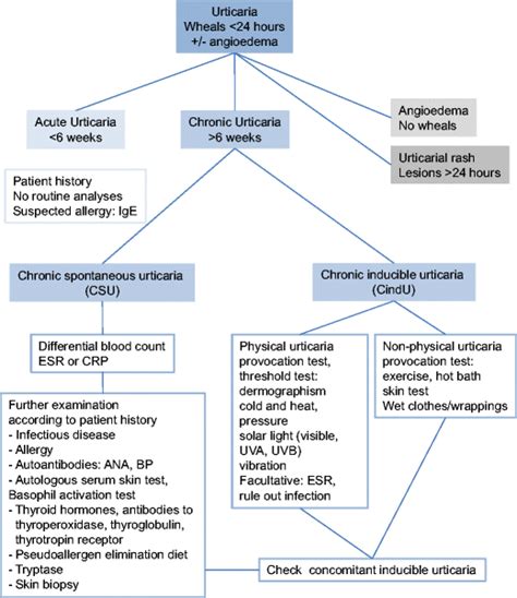 What Is Chronic Idiopathic Urticaria (Hives)? Symptoms, Causes, Diagnosis, Treatment, and ...