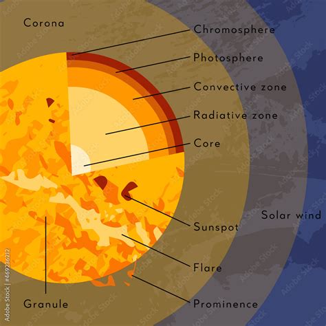 Sun internal structure. Solar model, star diagram. Core, radiative ...