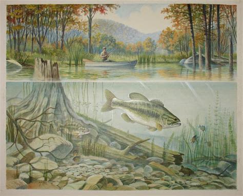 Bass Fishing Paintings