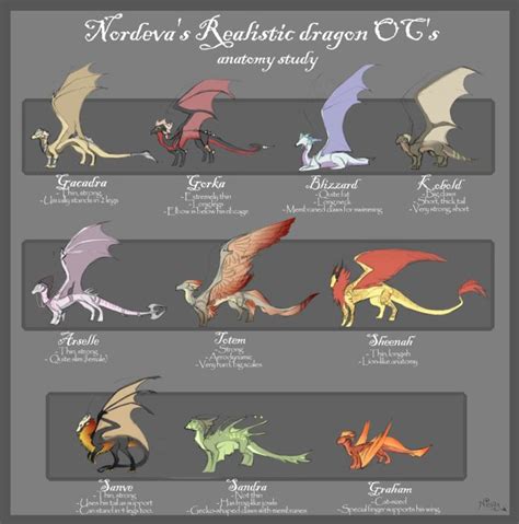 Types of dragons | Anatomy study, Realistic dragon, Types of dragons