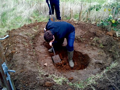 Notes from the Field: Pond life - Sutton Community Farm