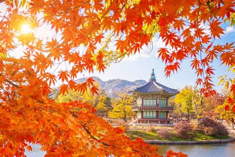 fall foliage forecast korea 2018 fall foliage korea 2018 when is autumn ...