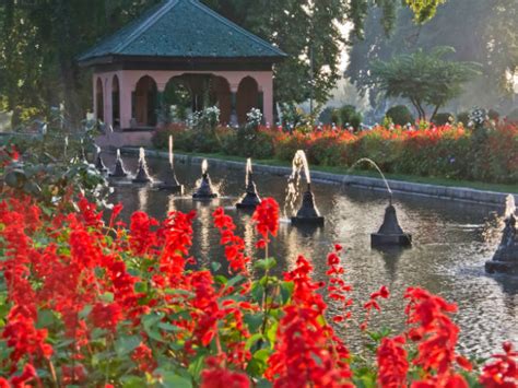 Mughal Gardens In Kashmir